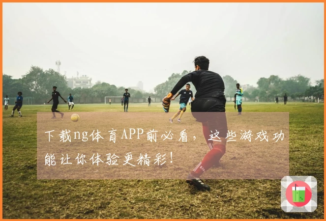 下载ng体育APP前必看，这些游戏功能让你体验更精彩！