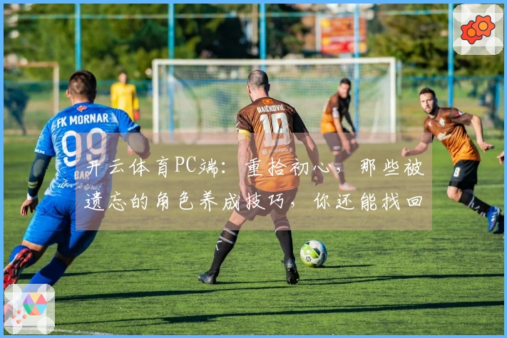 开云体育PC端：重拾初心，那些被遗忘的角色养成技巧，你还能找回巅峰吗