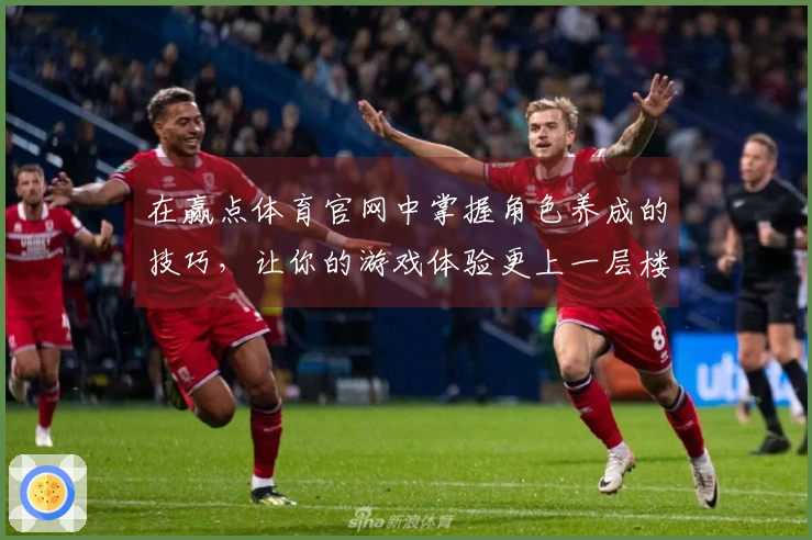 在赢点体育官网中掌握角色养成的技巧，让你的游戏体验更上一层楼