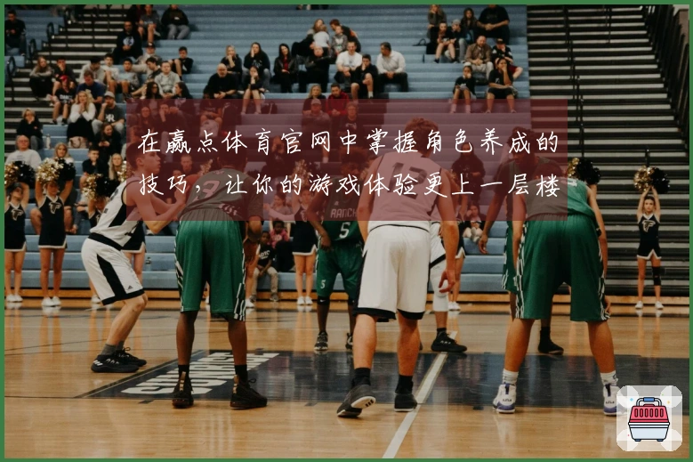 在赢点体育官网中掌握角色养成的技巧，让你的游戏体验更上一层楼