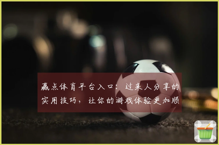 赢点体育平台入口：过来人分享的实用技巧，让你的游戏体验更加顺畅