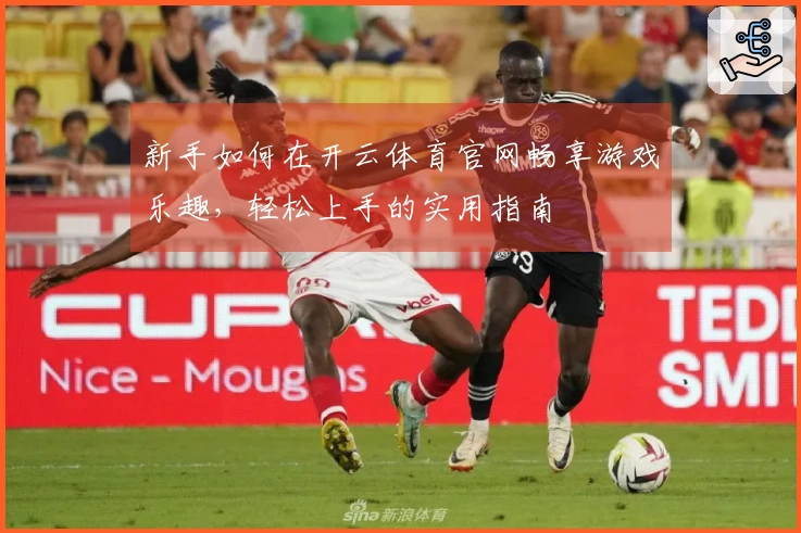 新手如何在开云体育官网畅享游戏乐趣，轻松上手的实用指南