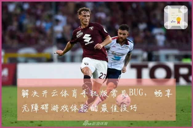 解决开云体育手机版常见BUG，畅享无障碍游戏体验的最佳技巧
