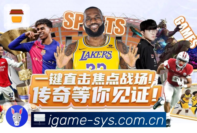 爱游戏服务保障